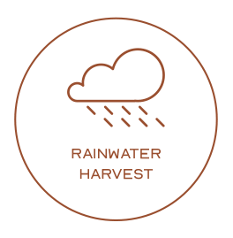Rainwater Harvest