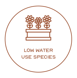 Low Water use species